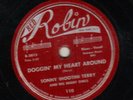 BLUES + JUMP 78-RED ROBIN--SONNY TERRY & NIGHT OWLS