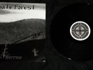 Hate Forest LP Sorrow Drudkh Astrofaes