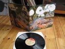 GARYBALDI NUDA MINT UNPLAYED ITALY PROG. 3-PAGE COVER
