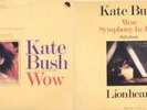 KATE BUSH - Rare Wow Italy 7