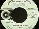 Soul Brothers, Inc. - I Saw Forever My Love - WL Promo