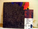 LIGHTNING BOLT Wonderful Rainbow LP blackdice sightings