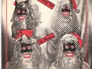 THE RESIDENTS  