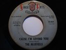 Group Soul 45 MARVELLS on FINER ARTS HEAR