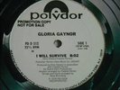 GLORIA GAYNOR I WILL SURVIVE YO VIVIRE PROMO DISCO 12