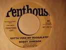 BOBBY JAMESON ROOGALATOR ZAPPA '66 RARE GARAGE PSYCH 45