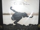 Eddie Vedder(Pearl Jam)- Into The Wild - SEALED MINT LP