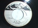 RARE NORTHERN SOUL 45- TROY DODDS