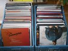 Vinyl 50+ House Techno Elektro ChillOut