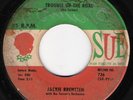 JACKIE BRENSTEN/BRENSTON Trouble Up The Road R&B 45 Sue