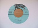 The Skeptics - Apple Candy c/w Ride Child 1966 USA 45