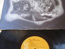 RIFF-RAFF  1st LP UK PROG LP 1973 RCA SF 8351 NEAR MINT
