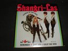 Shangri-Las LEADER PACK MONO LP RIOT GRRRL GIRL GROUP