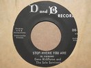 GENE MIDDLETON SOLE SURVIVORS Stop Where You Are SOUL