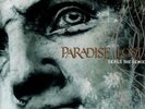 PARADISE LOST Seals The Sense LP RARE