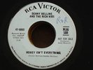'66 garage fuzz DENNY BELLINE Money Isn't Everything 45