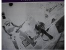 Nirvana LP Bootleg Ultimate Bleach Sessions (Brown)