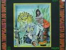 ROGERIO DUPRAT MUTANTES 1968 Tropicalia LP BRAZIL HEAR