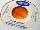 BERRY WINDOW - Presitoria INSANE GARAGE FUZZ FUNK\BEAT