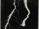 Sealed LP: White Noise: An Electric Storm