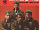 GREEN BEANS - Who Needs You - Rare Tower Picture Sleeve
