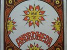ANDROMEDA LP - Prog/Psyche Rarity 1969 UK RCA Victor