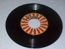 GIANT/WE ARE STILL RUDE - DANDY [R/STEADY]  7