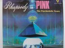 PINK FLOYD Rhapsody In Pink 2 LPs RARE Psych