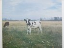 PINK FLOYD Dark Side Of The Moo RARE LP Psych