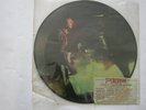 STEVIE RAY VAUGHAN - PICTURE DISC- UNPLAYED - RARE