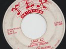 RARE ROCKABILLY Darwin Nelson Lazy Lu Fire 45 Rocker