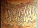 SAVOY BROWN BLUE MATTER NEAR MINT ORIG 1969 PARROT LP 