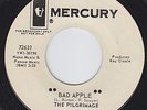 PILGRIMAGE Bad Apple GARAGE ROCK G45 mod monster LISTEN