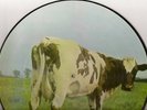 Pink Floyd Atom Heart Mother UK picture disc in sleeve