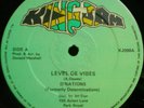 D'NATIONS Level De Vibes digital roots 12