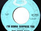 Sting Rays Gonna Surprise You Mod Monster Dance RARE
