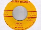 Mr Wiggles on Golden Triangle R&B 45 Hear