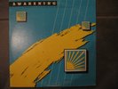 Private Buddhist Folk Psych LP AWAKENING Ancient Wisdom