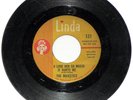 The Majestics - I Love Her So Much It Hurts Me - Linda