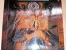 JOY UNLIMITED Schmetterlinge Kraut Prog Orig Pilz LP NM