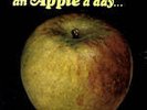 APPLE An Apple A Day LP 1969 UK Psych Acme Rec Reissue