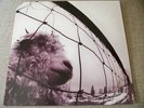 PEARL JAM eddie vedder Rare 1993 VS. oop 12