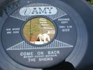 ROCK & ROLL THE SHEIKS ON AMY   45 RPM RECORD