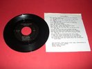 Punk 45 The LIZERDS Is It Late? DEMOS-TONES 1981 KBD NM