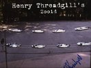 HENRY THREADGILL'S ZOOID POP START THE TAPE, STOP LP