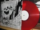 RUDIMENTARY PENI LIVE 1982 LP punk/crass/crust/vinyl