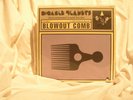 Digable Planets 