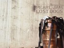 Pearl Jam Lost Dogs Vinyl Lp 12