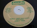 Family Tree - Skye - Booton Records US 12