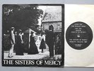 Sisters Of Mercy The Damage done UK Original P. Sleeve